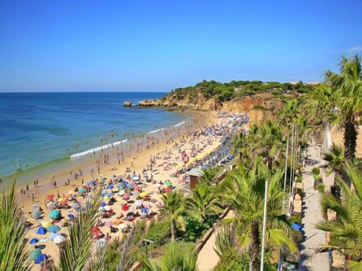 V4, Villa Jardins Branqueira2 Near Beach, Albufeira Eksteriør bilde