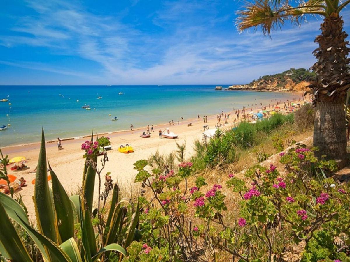 V4, Villa Jardins Branqueira2 Near Beach, Albufeira Eksteriør bilde